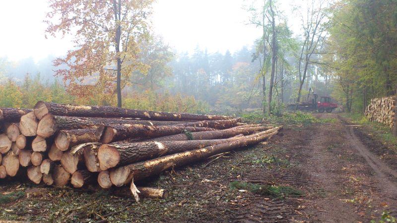 Cennik detaliczny drewna 2018